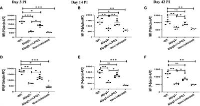 Leishmania major-derived lipophosphoglycan influences the host’s early immune response by inducing platelet activation and DKK1 production via TLR1/2